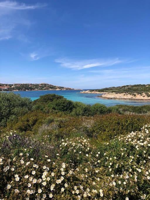 Casa Indipendente Zona Centrale La Maddalena  Kültér fotó